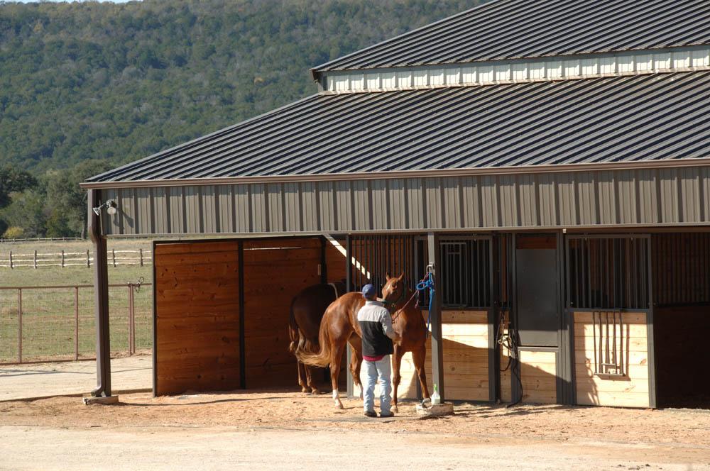 Horse Haven Horse Haven Mueller, Inc